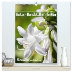Hostas Herzblattlilien Funkien (hochwertiger Premium Wandkalender 2026 DIN A2 hoch), Kunstdruck in Hochglanz Hostas Herzblattlilien Funkien (hochwertiger Premium Wandkalender 2026 DIN A2 hoch), Kunstdruck in Hochglanz