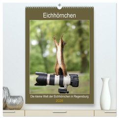 Cover Die kleine Welt der Eichhörnchen in Regensburg (hochwertiger Premium Wandkalender 2026 DIN A2 hoch), Kunstdruck in Hochglanz