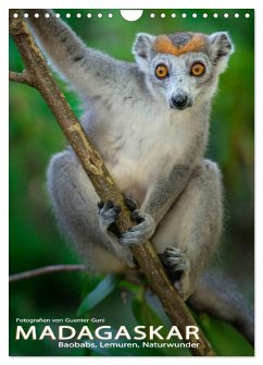 Cover MADAGASKAR: Baobabs, Lemuren, Naturwunder (Wandkalender 2026 DIN A4 hoch), CALVENDO Monatskalender