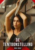 De tentoonstelling