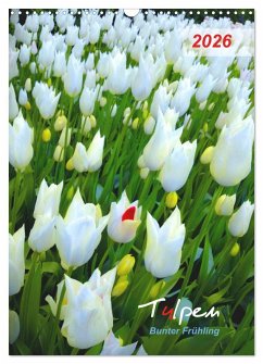 Tulpen. Bunter Frühling (Wandkalender 2026 DIN A3 hoch), CALVENDO Monatskalender