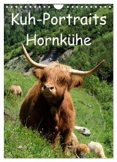 Kuhportraits Hornkühe (Wandkalender 2026 DIN A4 hoch), CALVENDO Monatskalender