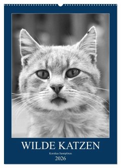 Wilde Katzen - Korsikas Samtpfoten (Wandkalender 2026 DIN A2 hoch), CALVENDO Monatskalender