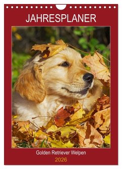 Jahresplaner Golden Retriever Welpen (Wandkalender 2026 DIN A4 hoch), CALVENDO Monatskalender Jahresplaner Golden Retriever Welpen (Wandkalender 2026 DIN A4 hoch), CALVENDO Monatskalender