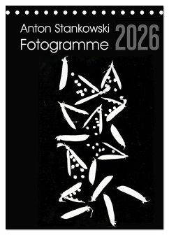 Cover Anton Stankowski Fotogramme (Tischkalender 2026 DIN A5 hoch), CALVENDO Monatskalender