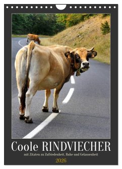 Cover Coole Rindviecher (Wandkalender 2026 DIN A4 hoch), CALVENDO Monatskalender