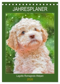 Jahresplaner Lagotto Romagnolo Welpen (Tischkalender 2026 DIN A5 hoch), CALVENDO Monatskalender