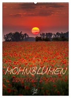Cover Mohnblumen - kraftvoll und zart (Wandkalender 2026 DIN A2 hoch), CALVENDO Monatskalender