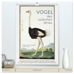 Cover Vögel des südlichen Afrika (hochwertiger Premium Wandkalender 2026 DIN A2 hoch), Kunstdruck in Hochglanz