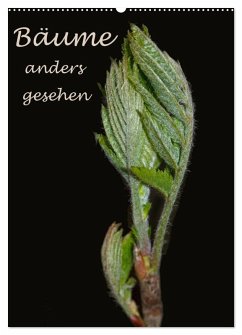 Cover Bäume anders gesehen (Wandkalender 2026 DIN A2 hoch), CALVENDO Monatskalender
