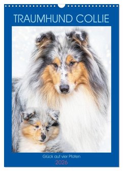 Cover Traumhund Collie - Glück auf vier Pfoten (Wandkalender 2026 DIN A3 hoch), CALVENDO Monatskalender