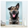 Hundekalender - Hunderassen im Portrait... - Bild 1
