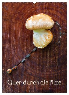 Cover Quer durch die Pilze (Wandkalender 2026 DIN A2 hoch), CALVENDO Monatskalender