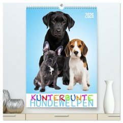 Kunterbunte Hundewelpen (hochwertiger Premium Wandkalender 2026 DIN A2 hoch), Kunstdruck in Hochglanz Kunterbunte Hundewelpen (hochwertiger Premium Wandkalender 2026 DIN A2 hoch), Kunstdruck in Hochglanz