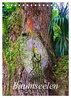 Cover Baumseelen (Tischkalender 2026 DIN A5 hoch), CALVENDO Monatskalender