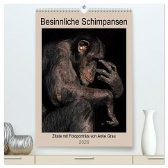 Besinnliche Schimpansen (hochwertiger Premium Wandkalender 2026 DIN A2 hoch), Kunstdruck in Hochglanz Besinnliche Schimpansen (hochwertiger Premium Wandkalender 2026 DIN A2 hoch), Kunstdruck in Hochglanz