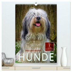 Hunde - treu und ehrlich (hochwertiger Premium Wandkalender 2026 DIN A2 hoch), Kunstdruck in Hochglanz Hunde - treu und ehrlich (hochwertiger Premium Wandkalender 2026 DIN A2 hoch), Kunstdruck in Hochglanz