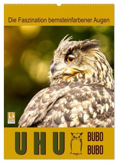 Uhu, die Faszination bernsteinfarbener Augen (Wandkalender 2026 DIN A2 hoch), CALVENDO Monatskalender Cover Uhu, die Faszination bernsteinfarbener Augen (Wandkalender 2026 DIN A2 hoch), CALVENDO Monatskalender