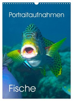 Cover Portraitaufnahmen - Fische (Wandkalender 2026 DIN A3 hoch), CALVENDO Monatskalender