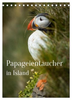 Papageientaucher in Island (Tischkalender 2026 DIN A5 hoch), CALVENDO Monatskalender