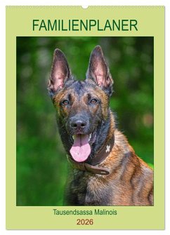 Familienplaner Tausendsassa Malinois (Wandkalender 2026 DIN A2 hoch), CALVENDO Monatskalender