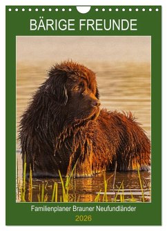 Cover Bärige Freunde - Familienplaner Brauner Neufundländer (Wandkalender 2026 DIN A4 hoch), CALVENDO Monatskalender