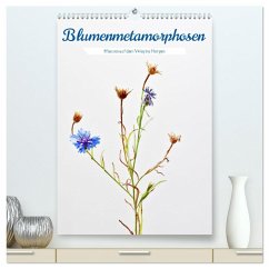 Cover Blumenmetamorphosen (hochwertiger Premium Wandkalender 2026 DIN A2 hoch), Kunstdruck in Hochglanz
