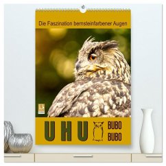 Uhu, die Faszination bernsteinfarbener Augen (hochwertiger Premium Wandkalender 2026 DIN A2 hoch), Kunstdruck in Hochglanz Cover Uhu, die Faszination bernsteinfarbener Augen (hochwertiger Premium Wandkalender 2026 DIN A2 hoch), Kunstdruck in Hochglanz