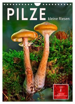 Cover Pilze - kleine Riesen (Wandkalender 2026 DIN A4 hoch), CALVENDO Monatskalender