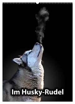 Im Husky-Rudel (Wandkalender 2026 DIN A2 hoch), CALVENDO Monatskalender Im Husky-Rudel (Wandkalender 2026 DIN A2 hoch), CALVENDO Monatskalender