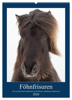 Föhnfrisuren (Wandkalender 2026 DIN A2 hoch), CALVENDO Monatskalender