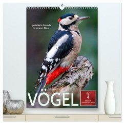 Vögel - gefiederte Freunde in unserer Natur (hochwertiger Premium Wandkalender 2026 DIN A2 hoch), Kunstdruck in Hochglanz Vögel - gefiederte Freunde in unserer Natur (hochwertiger Premium Wandkalender 2026 DIN A2 hoch), Kunstdruck in Hochglanz