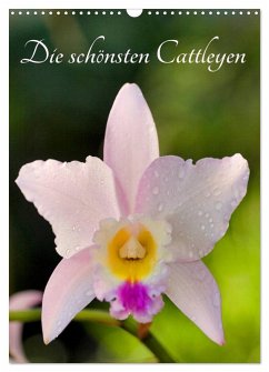 Cover Die schönsten Cattleyen (Wandkalender 2026 DIN A3 hoch), CALVENDO Monatskalender
