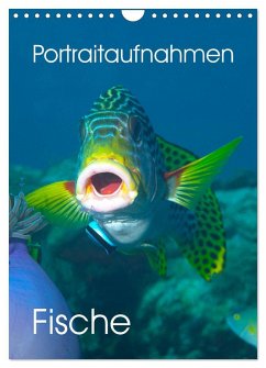 Cover Portraitaufnahmen - Fische (Wandkalender 2026 DIN A4 hoch), CALVENDO Monatskalender