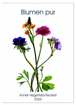 Blumen pur (Wandkalender 2026 DIN A2 hoch), CALVENDO Monatskalender