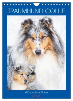 Cover Traumhund Collie - Glück auf vier Pfoten (Wandkalender 2026 DIN A4 hoch), CALVENDO Monatskalender