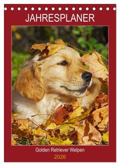 Jahresplaner Golden Retriever Welpen (Tischkalender 2026 DIN A5 hoch), CALVENDO Monatskalender