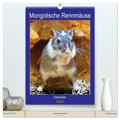 Mongolische Rennmäuse (hochwertiger Premium Wandkalender 2026 DIN A2 hoch), Kunstdruck in Hochglanz Mongolische Rennmäuse (hochwertiger Premium Wandkalender 2026 DIN A2 hoch), Kunstdruck in Hochglanz