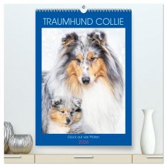 Cover Traumhund Collie - Glück auf vier Pfoten (hochwertiger Premium Wandkalender 2026 DIN A2 hoch), Kunstdruck in Hochglanz