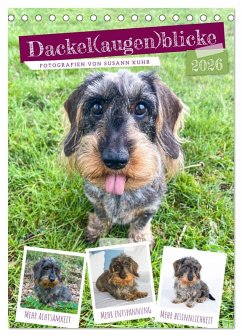 Dackel(augen)blicke (Tischkalender 2026 DIN A5 hoch), CALVENDO Monatskalender Dackel(augen)blicke (Tischkalender 2026 DIN A5 hoch), CALVENDO Monatskalender