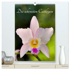Die schönsten Cattleyen (hochwertiger Premium Wandkalender 2026 DIN A2 hoch), Kunstdruck in Hochglanz Die schönsten Cattleyen (hochwertiger Premium Wandkalender 2026 DIN A2 hoch), Kunstdruck in Hochglanz