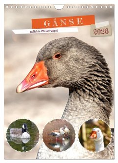 Gänse, geliebte Wasservögel (Wandkalender 2026 DIN A4 hoch), CALVENDO Monatskalender Cover Gänse, geliebte Wasservögel (Wandkalender 2026 DIN A4 hoch), CALVENDO Monatskalender