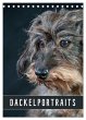 Dackelportraits (Tischkalender 2026 DIN... - Bild 1