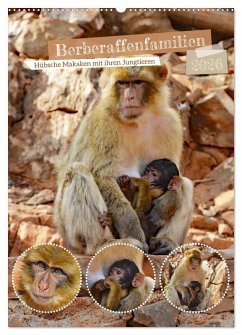 Cover Berberaffenfamilien (Wandkalender 2026 DIN A2 hoch), CALVENDO Monatskalender