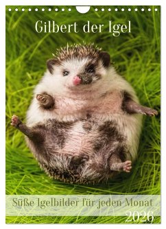 Gilbert der Igel (Wandkalender 2026 DIN A4 hoch), CALVENDO Monatskalender Gilbert der Igel (Wandkalender 2026 DIN A4 hoch), CALVENDO Monatskalender