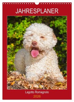Jahresplaner Lagotto Romagnolo (Wandkalender 2026 DIN A3 hoch), CALVENDO Monatskalender