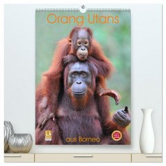 Orang Utans aus Borneo (hochwertiger Premium Wandkalender 2026 DIN A2 hoch), Kunstdruck in Hochglanz Orang Utans aus Borneo (hochwertiger Premium Wandkalender 2026 DIN A2 hoch), Kunstdruck in Hochglanz