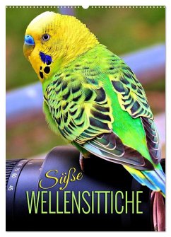 Cover Süße Wellensittiche (Wandkalender 2026 DIN A2 hoch), CALVENDO Monatskalender