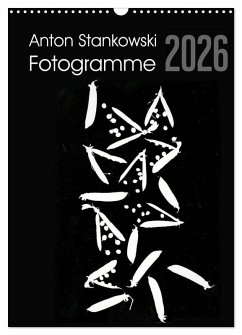 Cover Anton Stankowski Fotogramme (Wandkalender 2026 DIN A3 hoch), CALVENDO Monatskalender