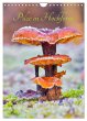 Pilze in Hochform (Wandkalender 2026... - Bild 1